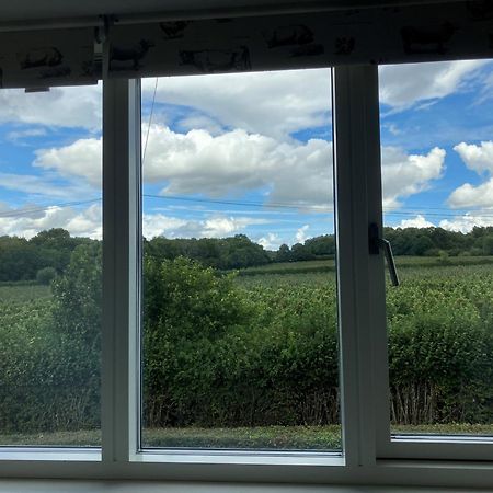 Withy Farm Bed & Breakfast Canterbury Dış mekan fotoğraf