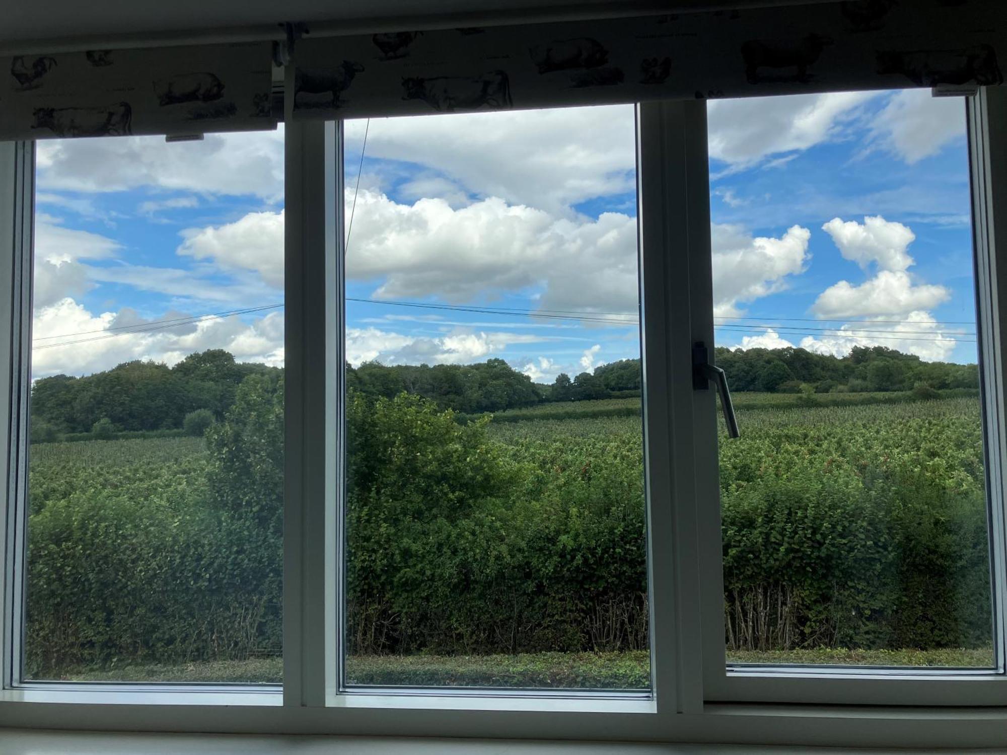 Withy Farm Bed & Breakfast Canterbury Dış mekan fotoğraf